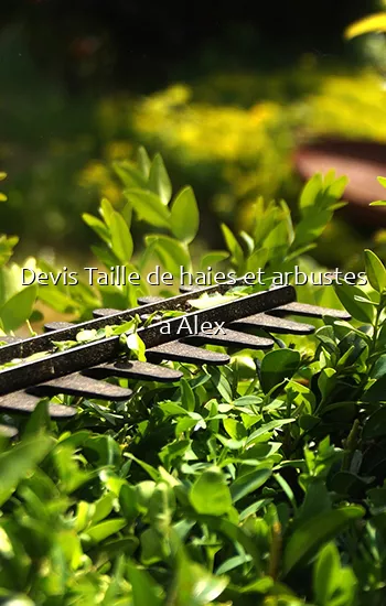 Devis Taille de haies et arbustes a Alex