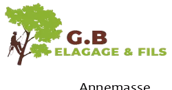 elagage-g-b-elagage-fils