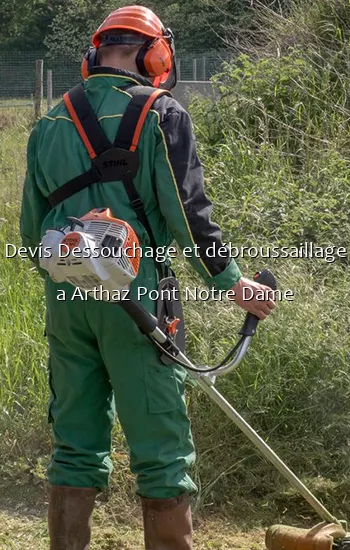 Devis Dessouchage et débroussaillage a Arthaz Pont Notre Dame