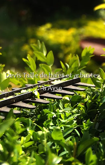 Devis Taille de haies et arbustes a Ayse