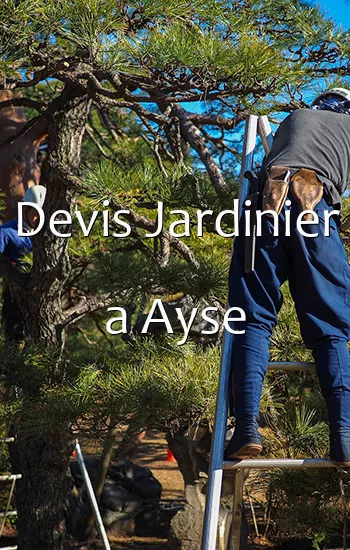 Devis Jardinier a Ayse