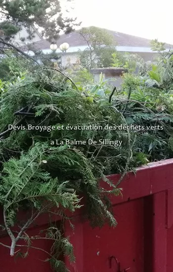 Devis Broyage et évacuation des déchets verts  a La Balme De Sillingy