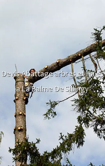 Devis Abattage arbres et haies a La Balme De Sillingy