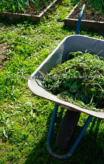 Devis Broyage et évacuation des déchets verts  a Bassy