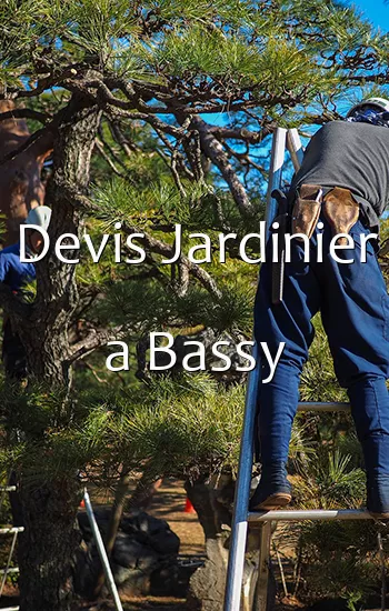 Devis Jardinier a Bassy