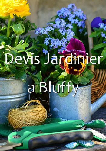 Devis Jardinier a Bluffy