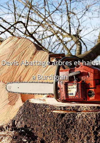 Devis Abattage arbres et haies a Burdignin