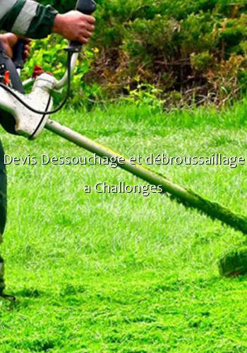 Devis Dessouchage et débroussaillage a Challonges