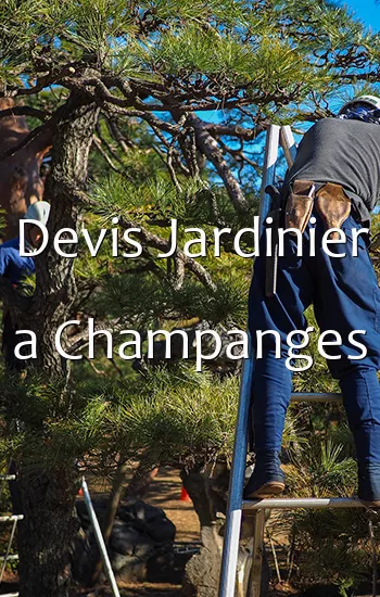 Devis Jardinier a Champanges