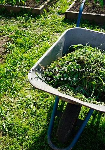 Devis Broyage et évacuation des déchets verts  a La Chapelle D Abondance