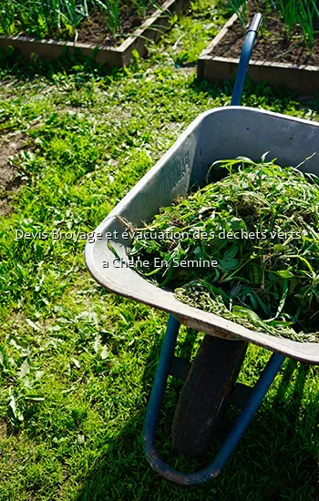 Devis Broyage et évacuation des déchets verts  a Chene En Semine