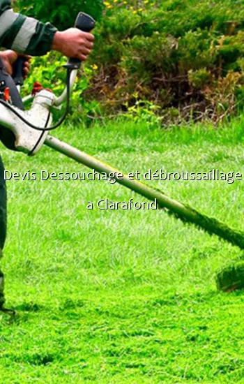Devis Dessouchage et débroussaillage a Clarafond