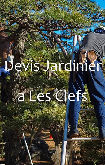 Devis Jardinier a Les Clefs