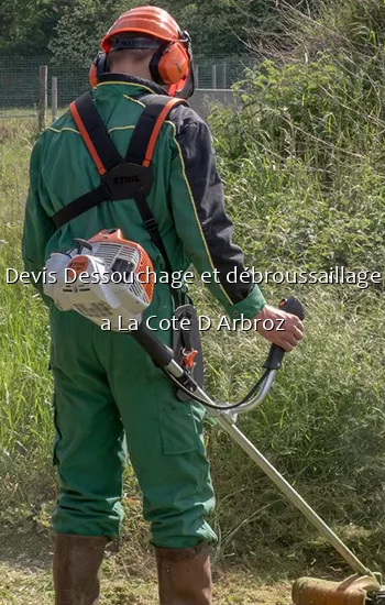 Devis Dessouchage et débroussaillage a La Cote D Arbroz