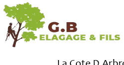 elagage-g-b-elagage-fils