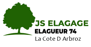 JS Elagage