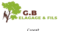 elagage-g-b-elagage-fils