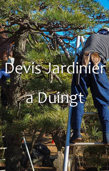 Devis Jardinier a Duingt