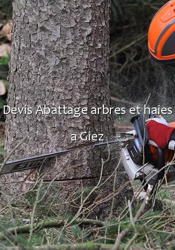 Devis Abattage arbres et haies a Giez