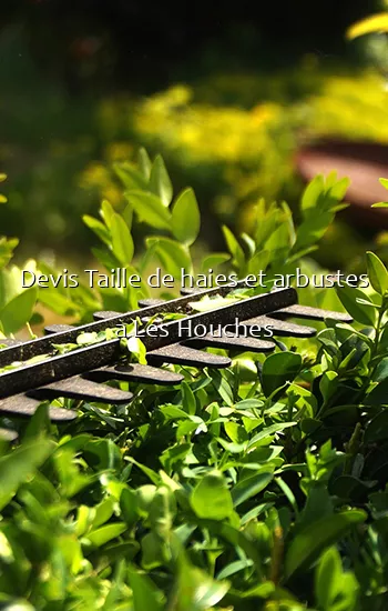 Devis Taille de haies et arbustes a Les Houches