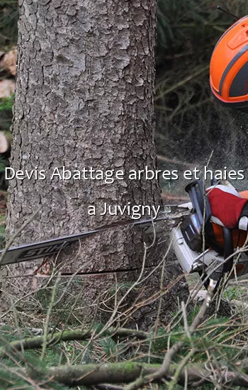 Devis Abattage arbres et haies a Juvigny