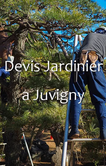 Devis Jardinier a Juvigny