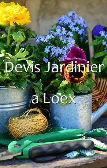 Devis Jardinier a Loex