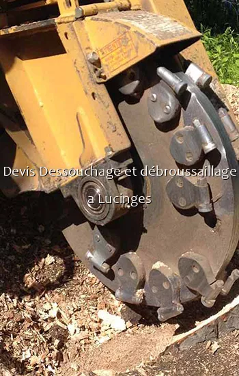 Devis Dessouchage et débroussaillage a Lucinges