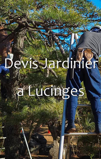 Devis Jardinier a Lucinges