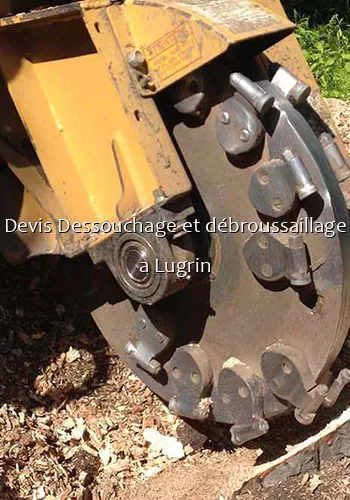 Devis Dessouchage et débroussaillage a Lugrin