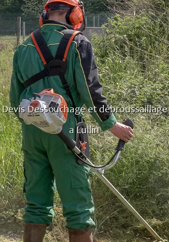 Devis Dessouchage et débroussaillage a Lullin
