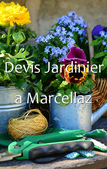 Devis Jardinier a Marcellaz