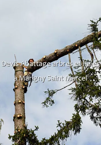 Devis Abattage arbres et haies a Marigny Saint Marcel