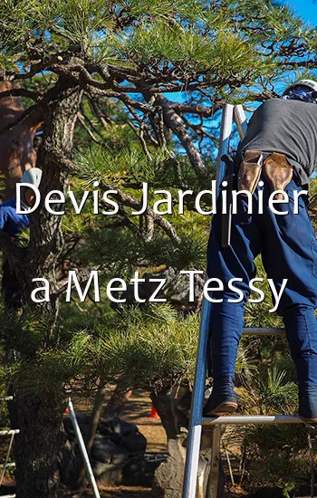Devis Jardinier a Metz Tessy