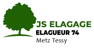 JS Elagage