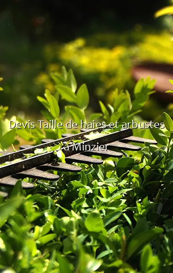 Devis Taille de haies et arbustes a Minzier