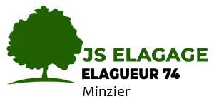JS Elagage