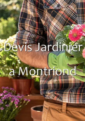 Devis Jardinier a Montriond