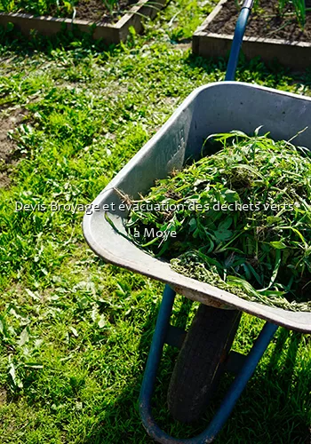 Devis Broyage et évacuation des déchets verts  a Moye