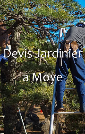 Devis Jardinier a Moye