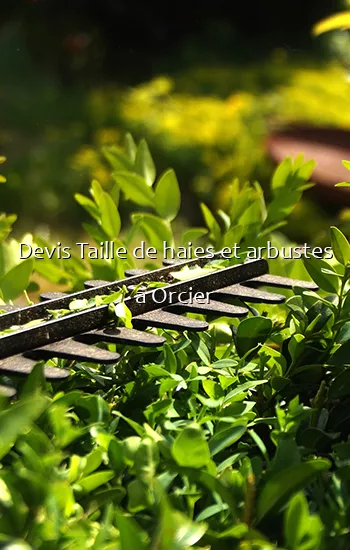 Devis Taille de haies et arbustes a Orcier