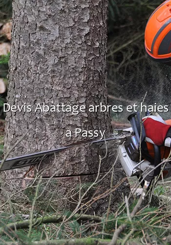 Devis Abattage arbres et haies a Passy