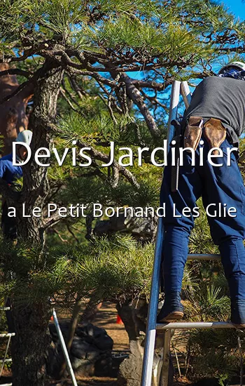 Devis Jardinier a Le Petit Bornand Les Glie