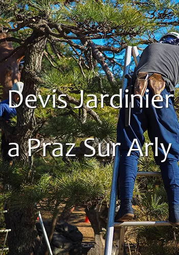 Devis Jardinier a Praz Sur Arly