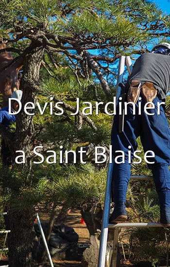 Devis Jardinier a Saint Blaise