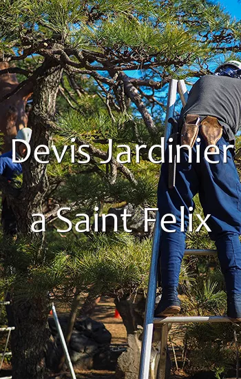 Devis Jardinier a Saint Felix