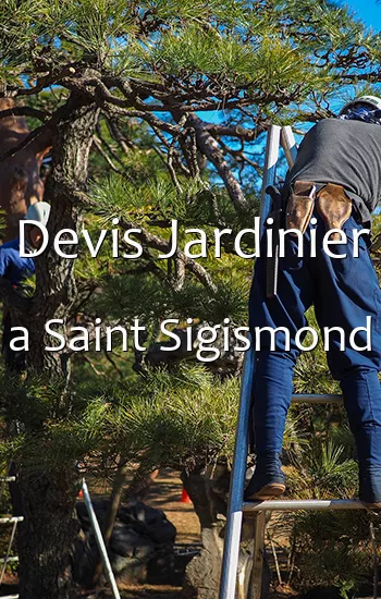 Devis Jardinier a Saint Sigismond