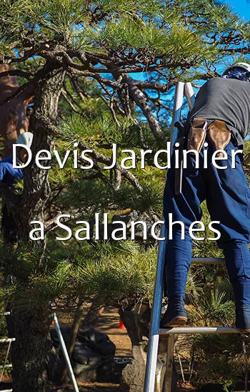 Devis Jardinier a Sallanches