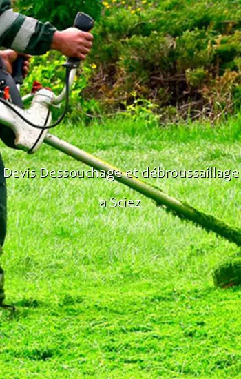 Devis Dessouchage et débroussaillage a Sciez