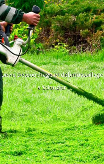Devis Dessouchage et débroussaillage a Scionzier